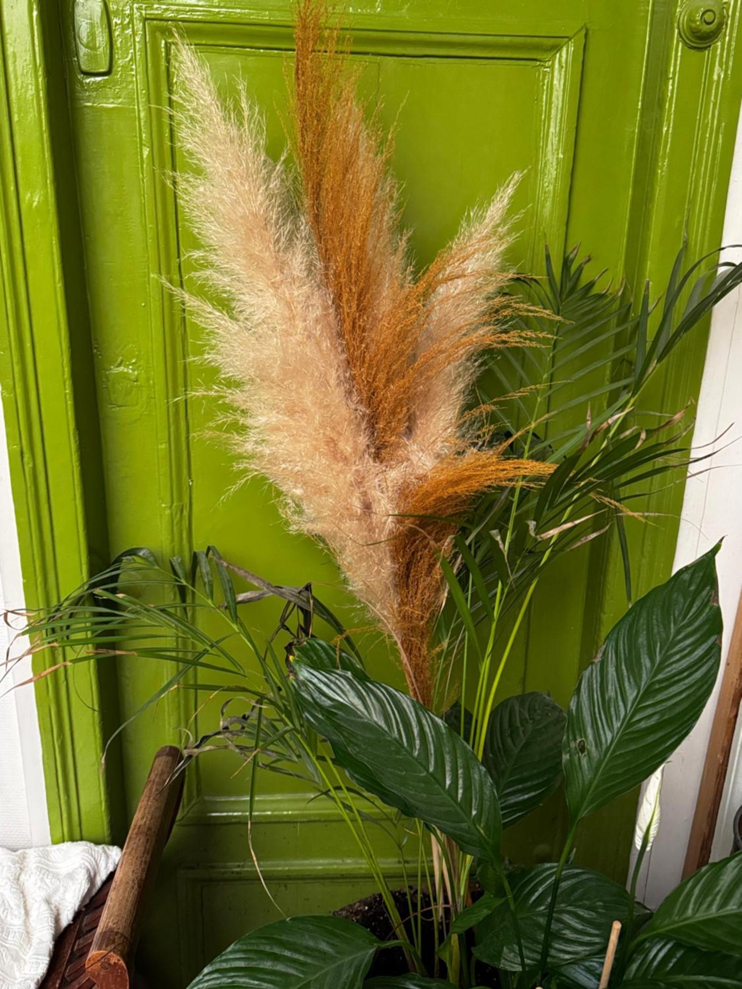 Most Charming Apartment Paris Center Bagian luar foto
